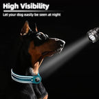 GPS Dog Collar with AirTag Holder - Durable Nylon Design for Tracking