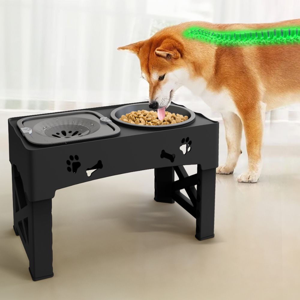 Adjustable Elevated Dog Slow Feeder Bowl for Controlled Eating