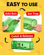 4-Pack Wooden Mouse Traps for Effective Rodent Control