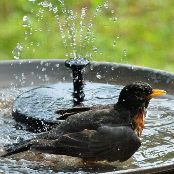Solar Water Fountain - Eco-Friendly Outdoor Design for Garden Decor