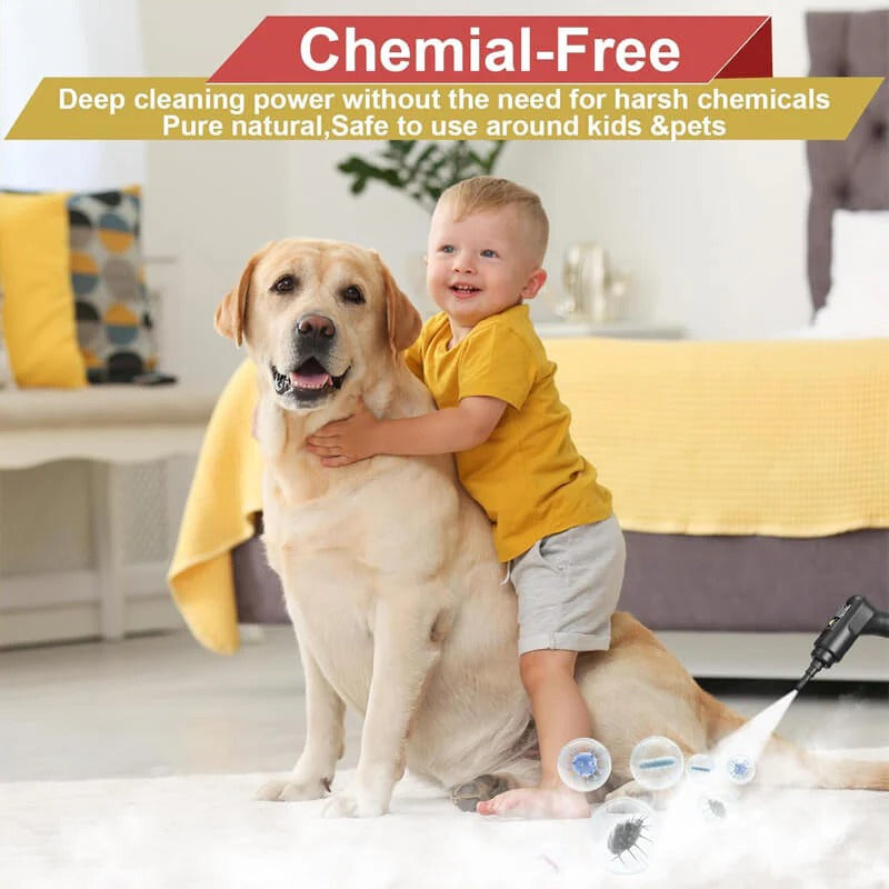 2500W High Pressure Steam Cleaner with Protective Gloves for Deep Cleaning