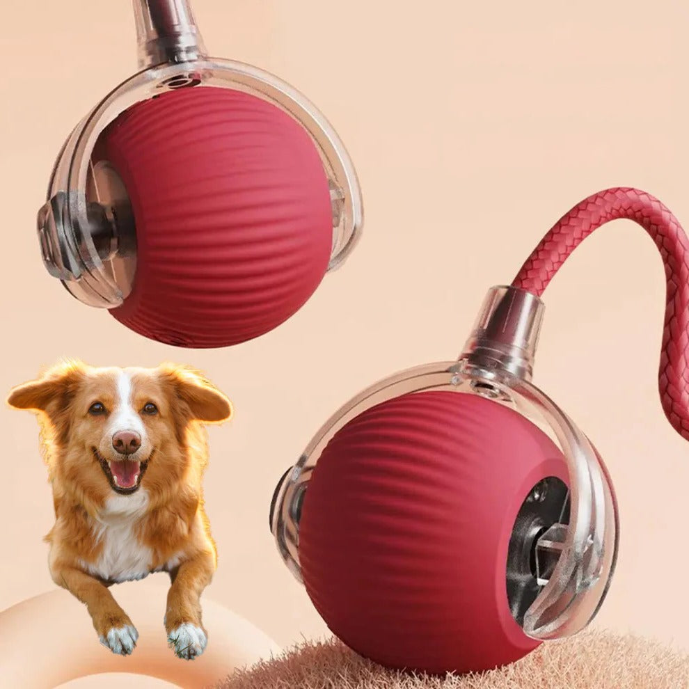 Interactive Rolling Dog Toy with Tail - Engaging Play for Pets