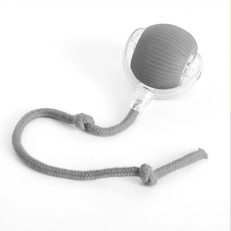 Interactive Rolling Dog Toy with Tail - Engaging Play for Pets