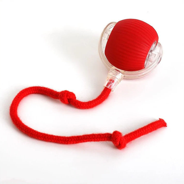 Interactive Rolling Dog Toy with Tail - Engaging Play for Pets