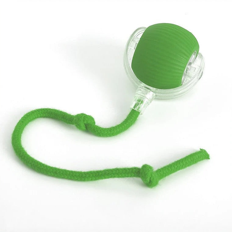 Interactive Rolling Dog Toy with Tail - Engaging Play for Pets